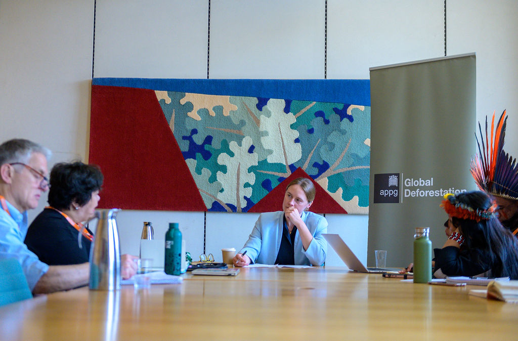 Indigenous Leaders meet APPG