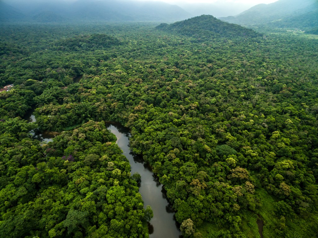 Our letter to the Secretary of State on deforestation and national security