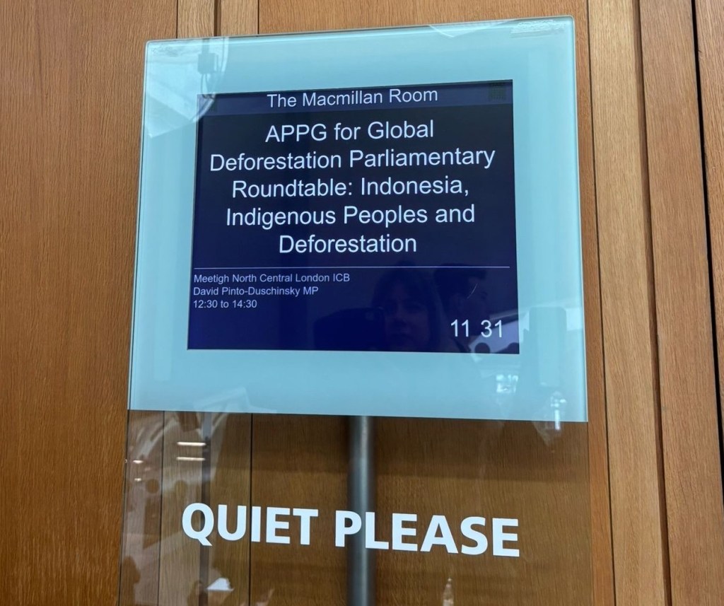 Recommendations for the UK government from a roundtable discussion on deforestation in&nbsp;Indonesia